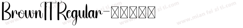 BrownTT Regular字体转换